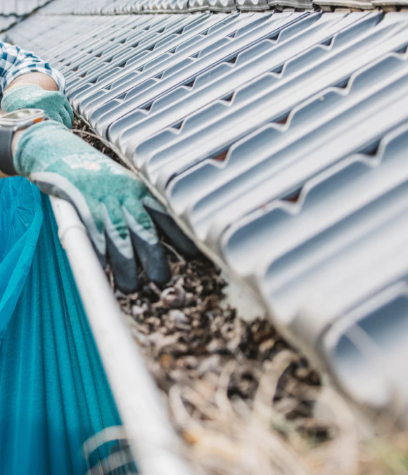 Gutter Cleaning